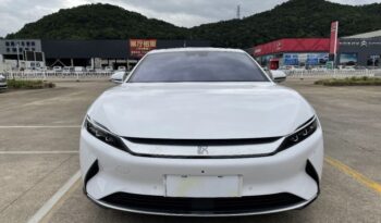 2020 Han EV four-wheel drive high-performance flagship model full