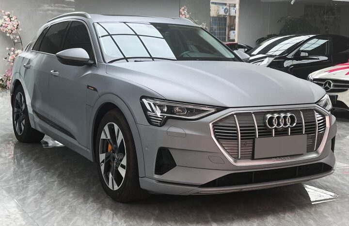 Audi e-tron (import) 2019 55 quattro technical type full