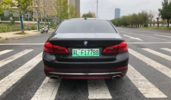 BMW 5 Series New Energy 2019 Facelift 530Le Luxury Package full