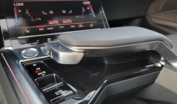 Audi e-tron (import) 2019 55 quattro technical type full