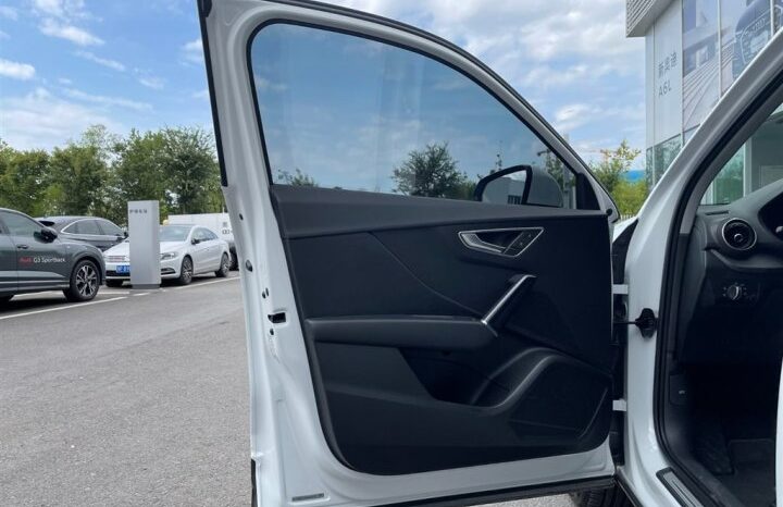 Audi Q2L e-tron 2019 full