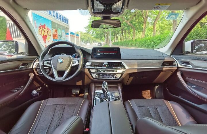BMW 5 Series New Energy 2019 530Le Luxury Package full