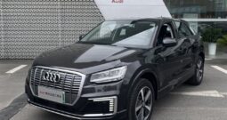 Audi Q2L e-tron 2019
